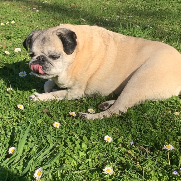 Meet your Posher, Olivia - Picture 8 of 11